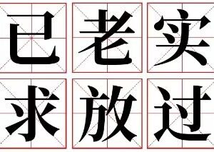 ネットで人気の流行語 已老实，求放过（Yǐ　lǎo　shí，qiú  fàng　guò）